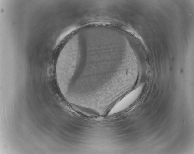 X0000085281352200704092155