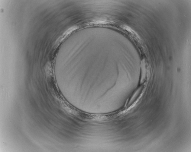 X0000085281353200704092155