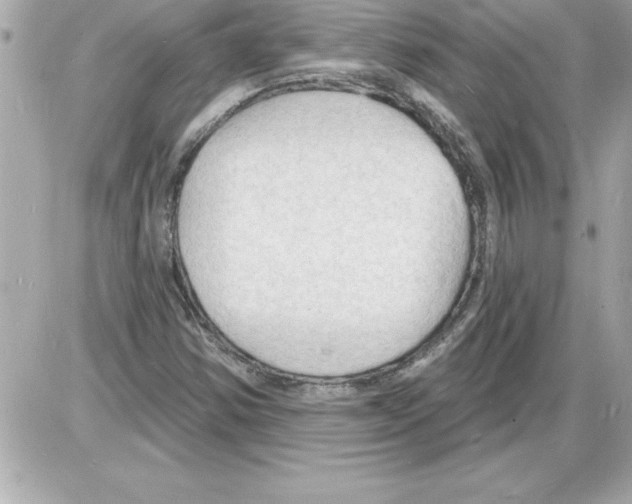 X0000085281354200704092155