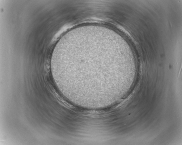 X0000085281355200704092155