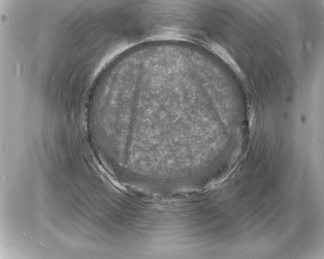 X0000085281356200704092155