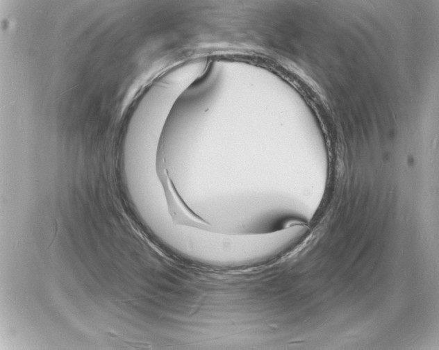 X0000085281357200704092155