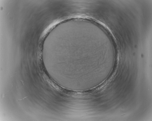 X0000085281359200704092155