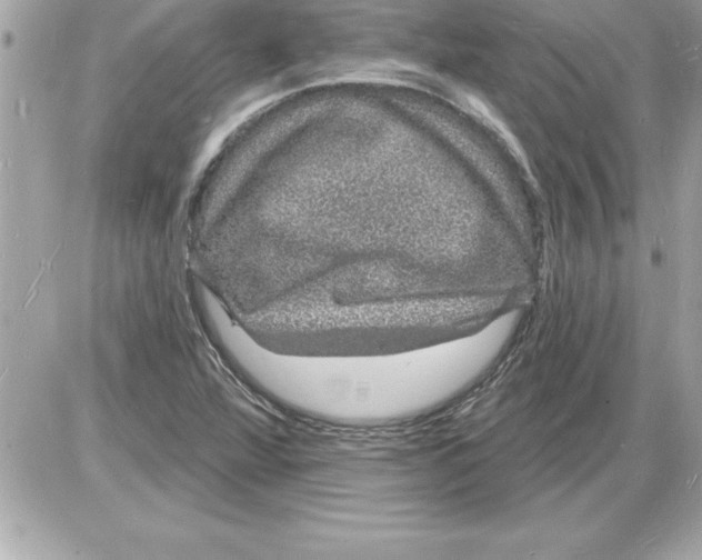 X0000085281360200704092155