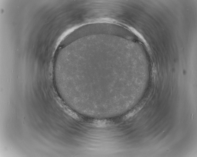 X0000085281364200704092155