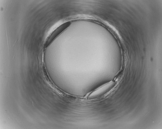 X0000085281365200704092155