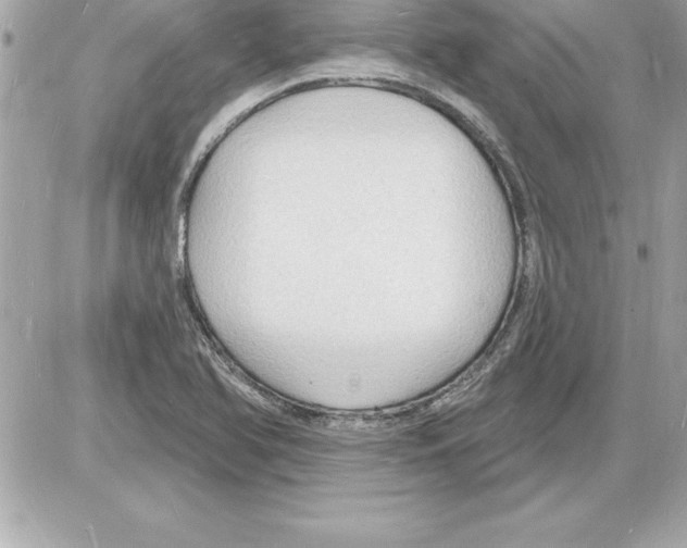 X0000085281366200704092155