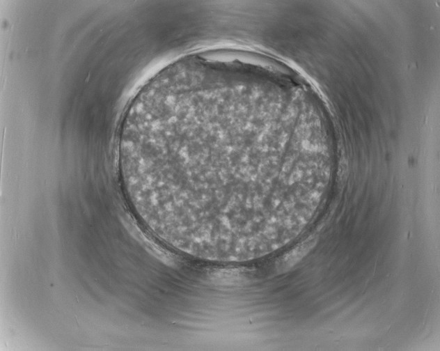 X0000085281367200704092155