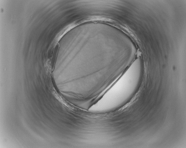 X0000085281369200704092155