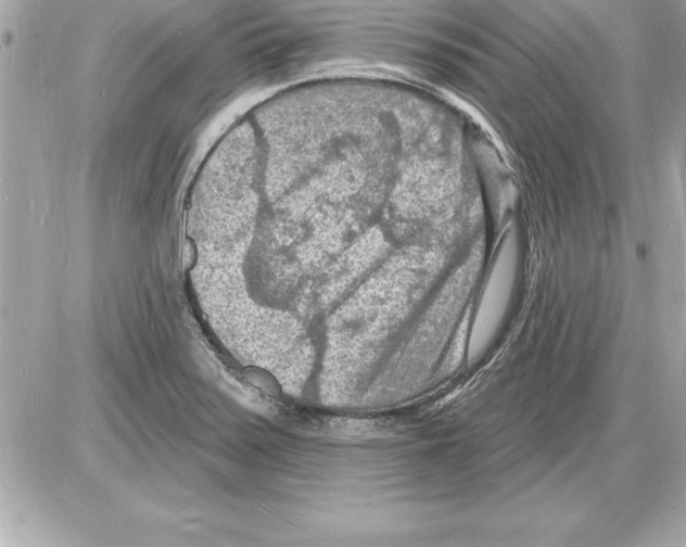 X0000085281371200704092155