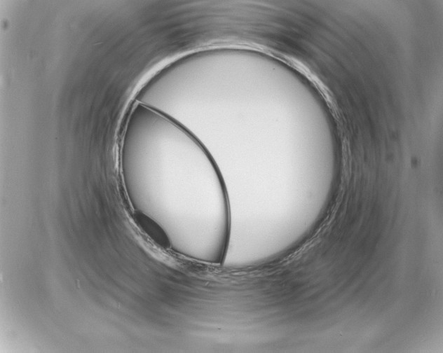 X0000085281372200704092155