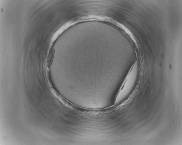 X0000085281373200704092155