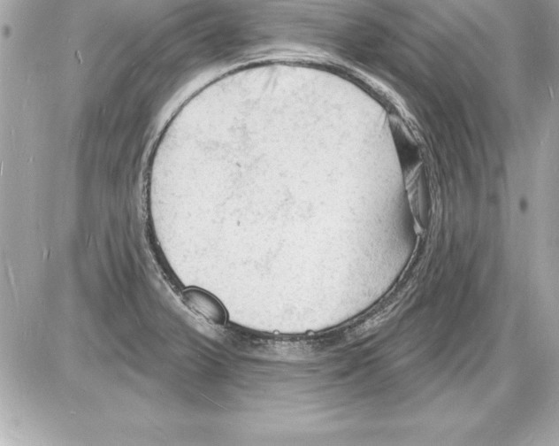 X0000085281375200704092155