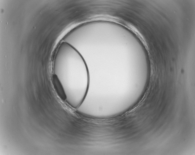 X0000085281376200704092155