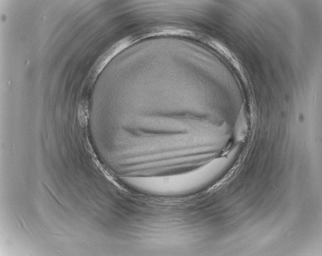 X0000085281377200704092155