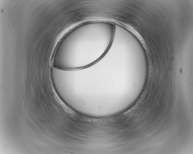 X0000085281380200704092155