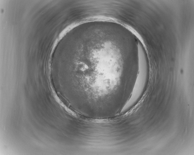 X0000085281381200704092155