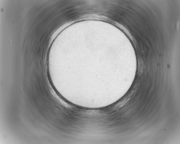 X0000085281387200704092155