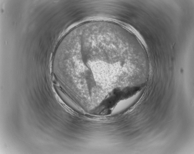 X0000085281388200704092155