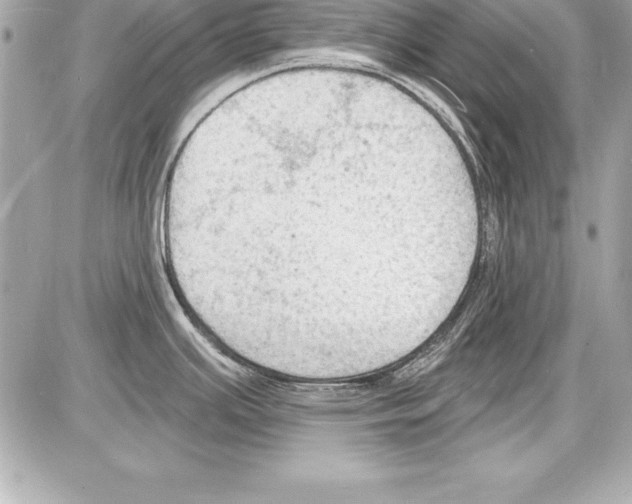 X0000085281391200704092155