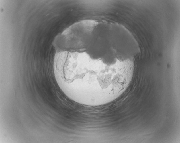 X0000085281395200704092154