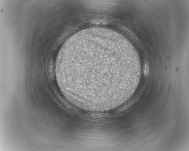 X0000085281396200704092154