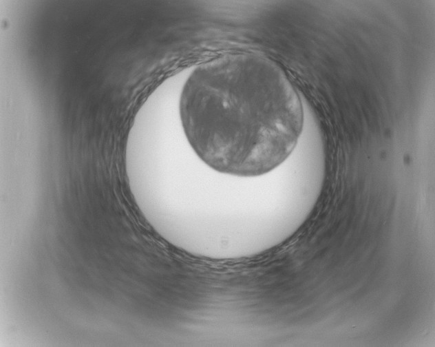 X0000085281397200704092154