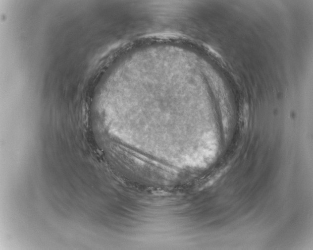 X0000085281398200704092154