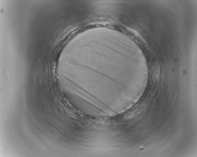 X0000085281399200704092154