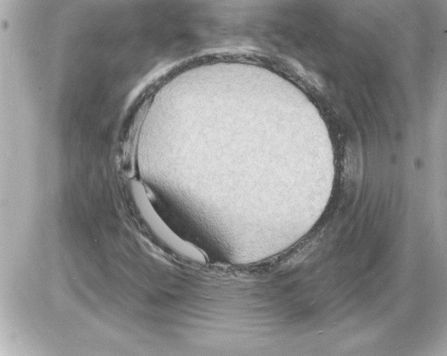 X0000085281400200704092154