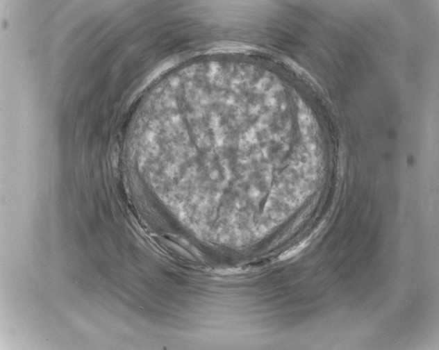 X0000085281401200704092154