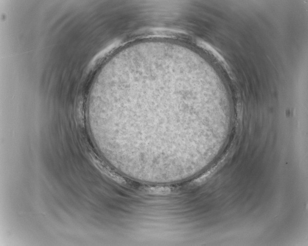 X0000085281403200704092154