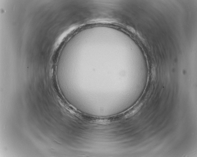 X0000085281406200704092154