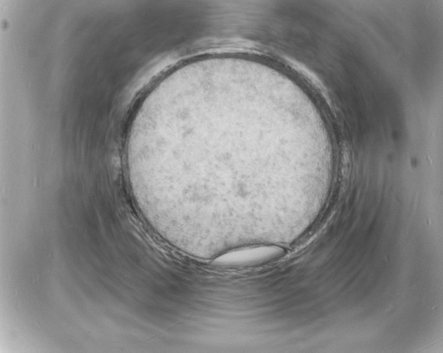 X0000085281407200704092154