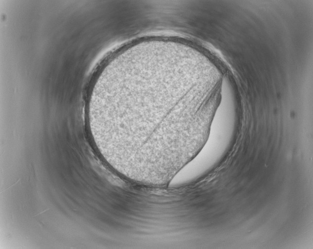 X0000085281408200704092154