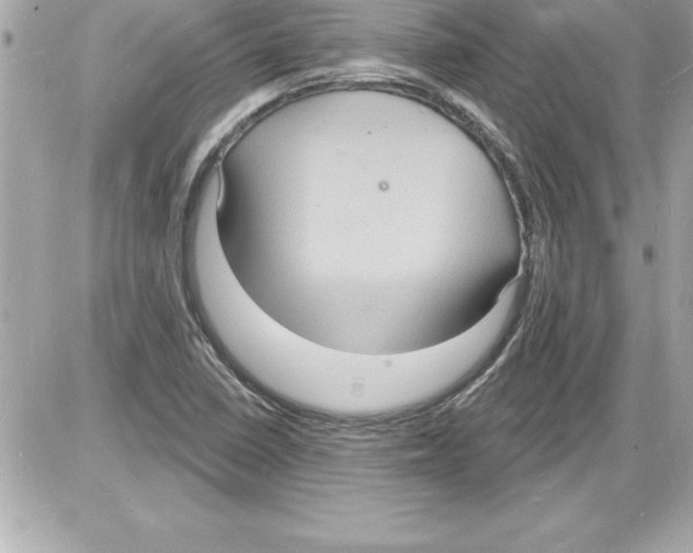 X0000085281410200704092154