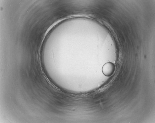 X0000085281412200704092154