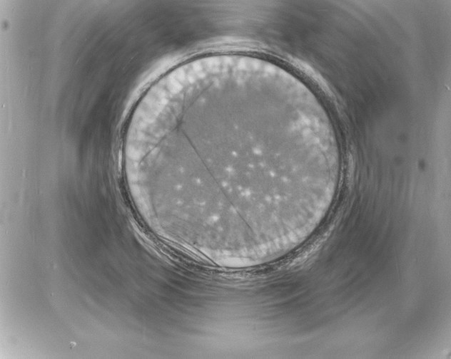 X0000085281413200704092154