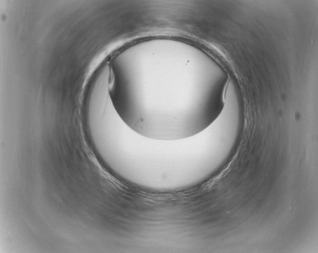 X0000085281414200704092154