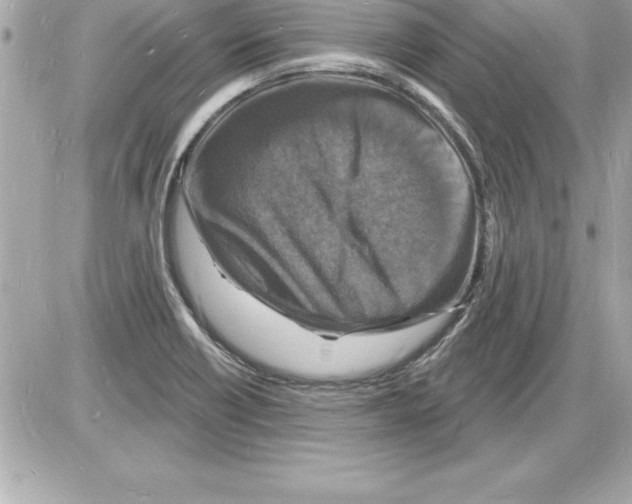 X0000085281418200704092154