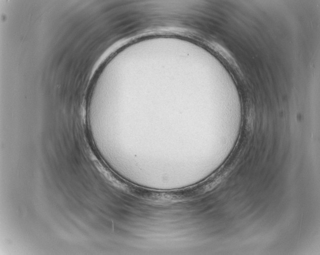 X0000085281420200704092154