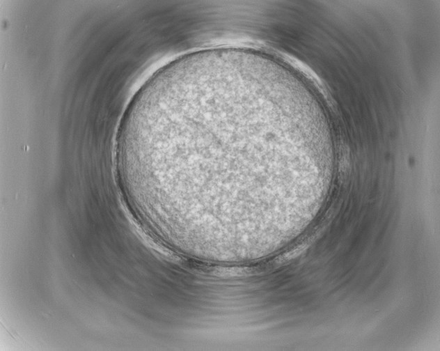 X0000085281423200704092154