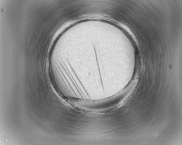 X0000085281424200704092154