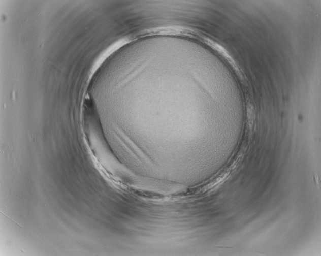 X0000085281426200704092154