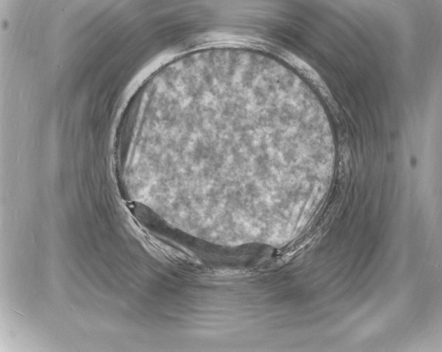 X0000085281427200704092154