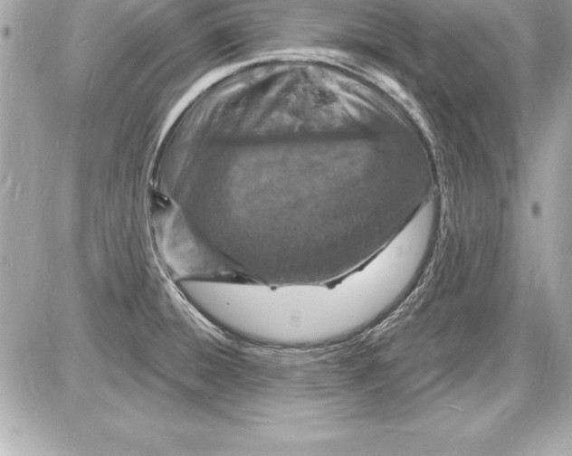 X0000085281428200704092154