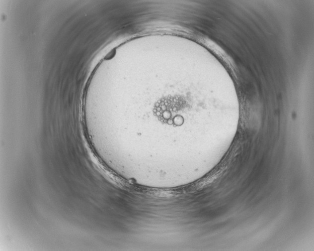 X0000085281431200704092155