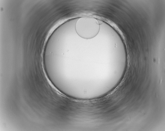 X0000085281432200704092155