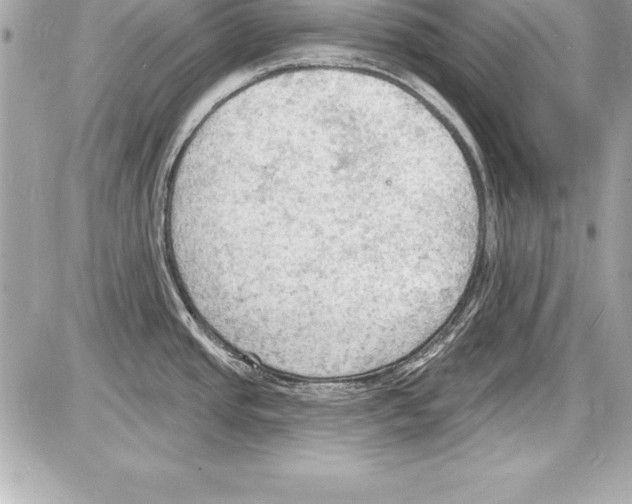 X0000085281437200704092155