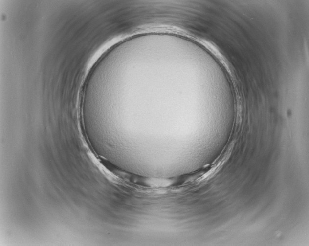 X0000085281438200704092155